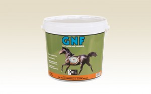 pro-gnf2