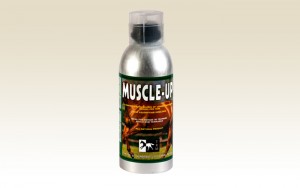 pro-muscle-up2