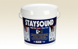 pro-staysound2