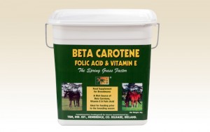 Beta Carotene