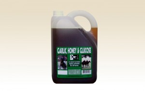 Garlic Honey & Glucose