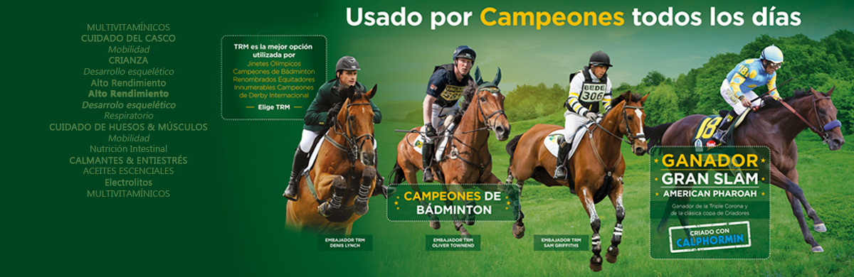 banner-slider-campeones-2016