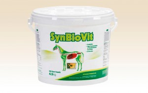 probioticos para caballos