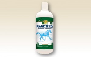 FLAMEZZE-EQ-Gel-emulsionado-para-articulaciones-musculos-y-tendones