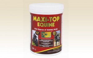 MAXI-TOP-EQUINE FUENTE RICA DE AMINOÁCIDOS PARA EL DESARROLLO Y MANTENIMIENTO DE LA MASA MUSCULAR